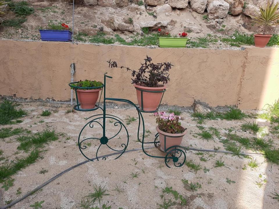 Emile Altwal Madaba 아파트 외부 사진